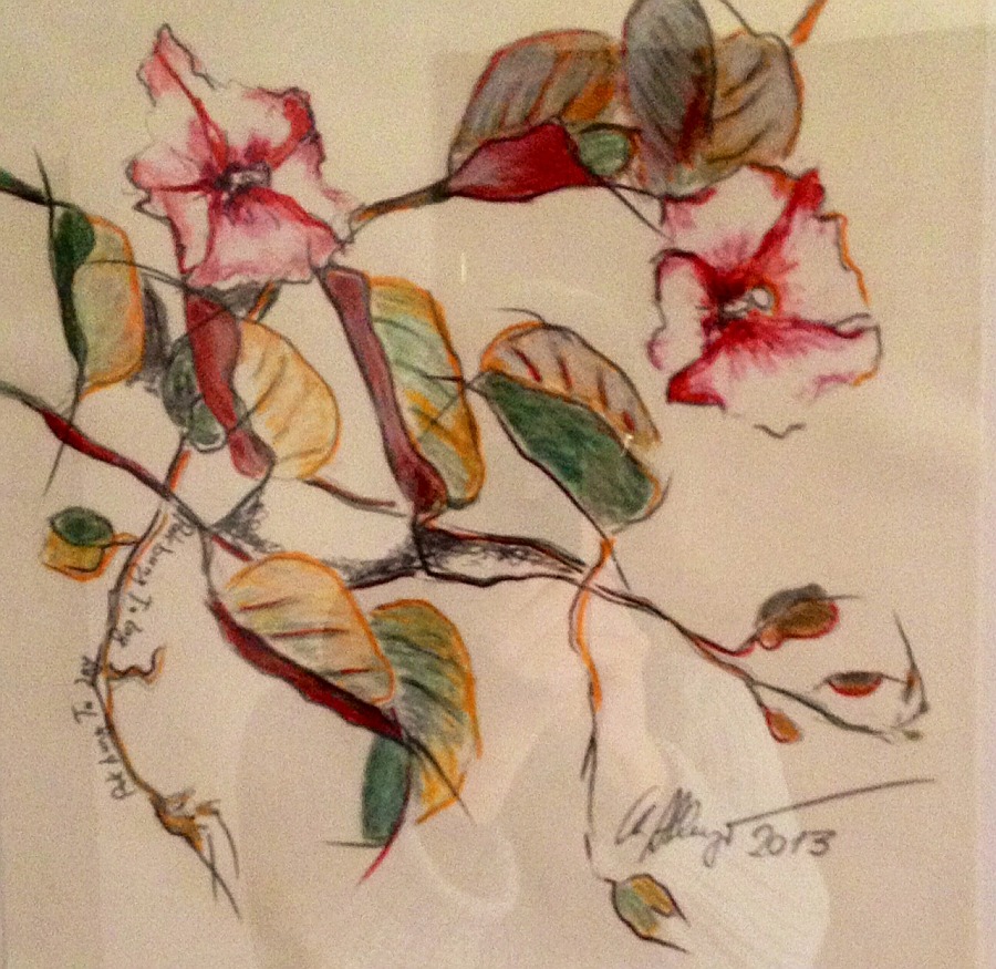 Jerrez - Costa de la Luz